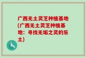 广西无土灵芝种植基地(广西无土灵芝种植基地：寻找无垢之灵的乐土)