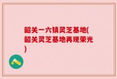 韶关一六镇灵芝基地(韶关灵芝基地再现荣光)