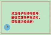 灵芝孢子粉结构图片(解析灵芝孢子粉结构，探究其功效机制)