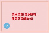 浇水灵芝(浇水照料，使灵芝茂盛生长)