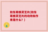 敖东葛根灵芝片(敖东葛根灵芝片的功效和作用是什么？)