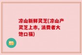 凉山新鲜灵芝(凉山产灵芝上市, 消费者大饱口福)
