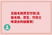 五指毛桃灵芝竹荪(五指毛桃、灵芝、竹荪三味混合的益菌茶)