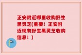 正安附近哪里收购野生黑灵芝(重要！正安附近现有野生黑灵芝收购信息！)