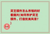 灵芝摆件怎么养殖的好看图片(如何养护灵芝摆件，打造优美风景？)