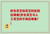 野生灵芝和灵芝的区别在哪里(野生灵芝与人工灵芝的不同在哪里？)