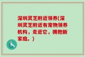 深圳灵芝附近领养(深圳灵芝附近有宠物领养机构，走近它，拥抱新家庭。)