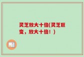 灵芝放大十倍(灵芝巨变，放大十倍！)