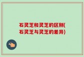 石灵芝和灵芝的区别(石灵芝与灵芝的差异)