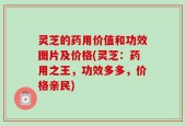 灵芝的药用价值和功效图片及价格(灵芝：药用之王，功效多多，价格亲民)