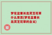 梦见盆里长出灵芝花草什么意思(梦见盆里长出灵芝花草的含义)