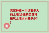 灵芝种植一个坑要多大的土壤(合适的灵芝种植坑土壤大小是多少？)