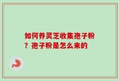 如何养灵芝收集孢子粉？孢子粉是怎么来的