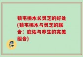 镇宅桃木长灵芝的好处(镇宅桃木与灵芝的联合：庇佑与养生的完美组合)