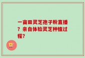 一亩田灵芝孢子粉直播？亲自体验灵芝种植过程？
