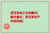 灵芝茶加工车间图片(图片展示：灵芝茶生产车间实拍)