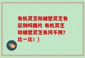 有机灵芝和破壁灵芝有区别吗图片 有机灵芝和破壁灵芝有何不同？比一比！)