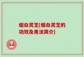 烟白灵芝(烟白灵芝的功效及用法简介)