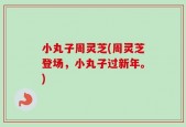 小丸子周灵芝(周灵芝登场，小丸子过新年。)