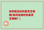 如何挑选好的紫灵芝视频(如何选择好的紫灵芝视频？)