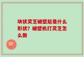 块状灵芝破壁后是什么形状？破壁机打灵芝怎么做