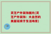 灵芝户外装饰图片(灵芝户外装饰：大自然的美丽延续于生活场景)