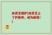 肉灵芝爆护(肉灵芝上了护肤界，成为新宠！)