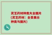 灵芝药材种类大全图片(灵芝药材：全景展示种类与图片)