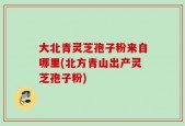 大北青灵芝孢子粉来自哪里(北方青山出产灵芝孢子粉)