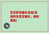 灵芝野生图片高清(高清野生灵芝图片，美轮美奂)
