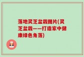 落地灵芝盆栽图片(灵芝盆栽——打造家中健康绿色角落)