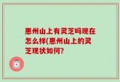 惠州山上有灵芝吗现在怎么样(惠州山上的灵芝现状如何？