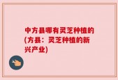 中方县哪有灵芝种植的(方县：灵芝种植的新兴产业)