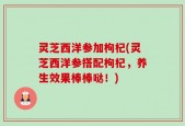 灵芝西洋参加枸杞(灵芝西洋参搭配枸杞，养生效果棒棒哒！)