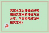 灵芝木怎么种植的好呢视频灵芝木的种植方法分享，学会如何成功种植灵芝木)