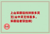上山采蘑菇找到很多灵芝(山中灵芝惊喜多，采蘑菇者获佳绩)