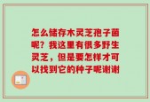 怎么储存木灵芝孢子菌呢？我这里有很多野生灵芝，但是要怎样才可以找到它的种子呢谢谢