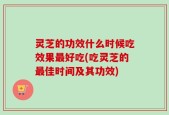 灵芝的功效什么时候吃效果最好吃(吃灵芝的最佳时间及其功效)