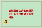安徽黄山生产的破壁灵芝？人工种植灵芝多久成熟