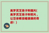 美罗灵芝孢子粉图片(美罗灵芝孢子粉照片，让您亲眼目睹健康的奇迹！)
