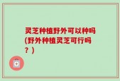 灵芝种植野外可以种吗(野外种植灵芝可行吗？)