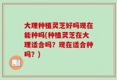 大理种植灵芝好吗现在能种吗(种植灵芝在大理适合吗？现在适合种吗？)