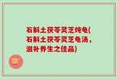 石斛土茯苓灵芝炖龟(石斛土茯苓灵芝龟汤，滋补养生之佳品)