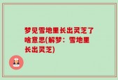 梦见雪地里长出灵芝了啥意思(解梦：雪地里长出灵芝)