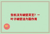 生机汉方破壁灵芝？一叶子破壁活力霜作用