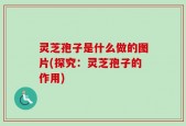 灵芝孢子是什么做的图片(探究：灵芝孢子的作用)