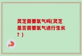 灵芝需要氧气吗(灵芝是否需要氧气进行生长？)