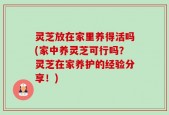 灵芝放在家里养得活吗(家中养灵芝可行吗？灵芝在家养护的经验分享！)