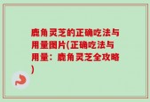 鹿角灵芝的正确吃法与用量图片(正确吃法与用量：鹿角灵芝全攻略)