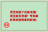 灵芝蛀倒了还能泡酒(灵芝能否泡酒？专家解析其蛀倒现象的影响)